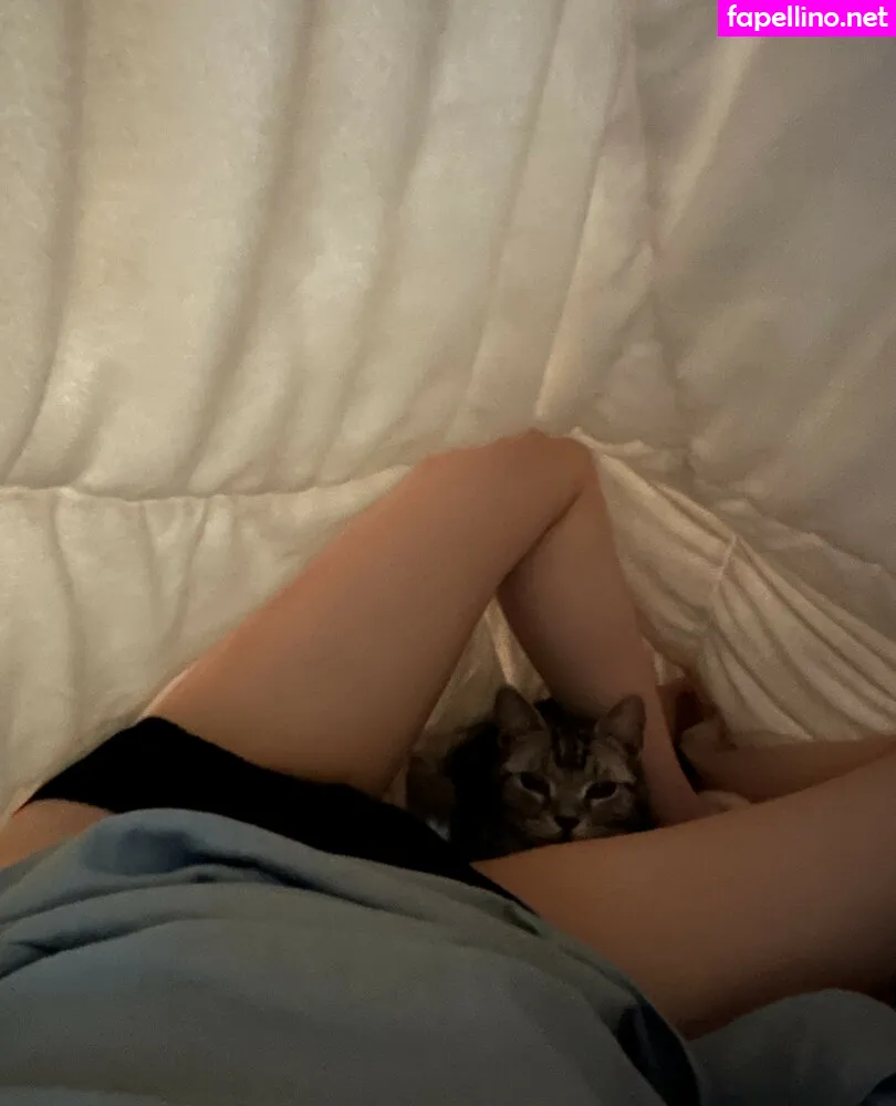 babyasuna, ditesuna, seoulasuna Nude Leaked OnlyFans Photo #SHq1vpaMOO