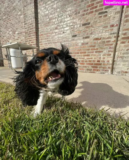 Athenaskisses OnlyFans Thumbnail #6G0BmKGI3R