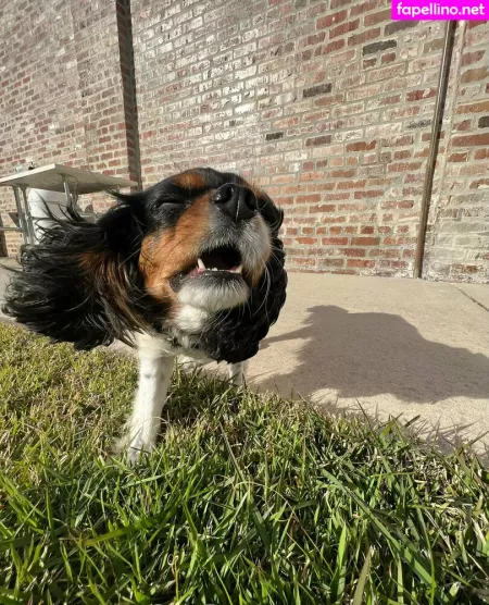 Athenaskisses OnlyFans Thumbnail #9SYk3yEsWU