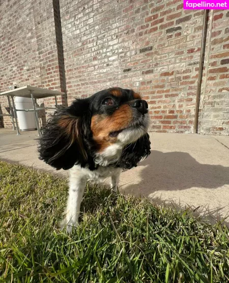 Athenaskisses OnlyFans Thumbnail #FBKJbUmAa4