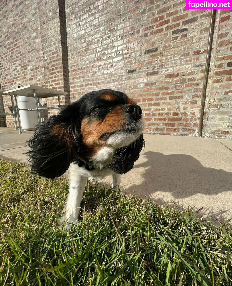 athenasees, athenaskisses Nude Leaked OnlyFans Photo #JWSWHFWNTt