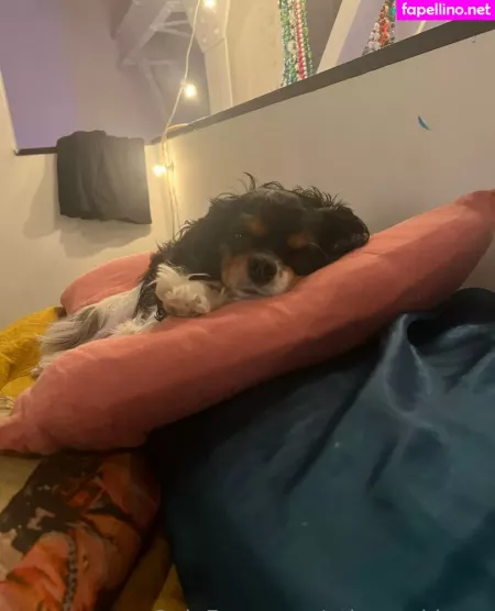 Athenaskisses OnlyFans Thumbnail #n6nnaX0PTM