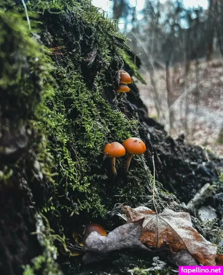 Athenaxmati OnlyFans Thumbnail #8gZxqaajdJ