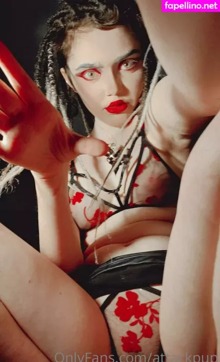 Attackpup OnlyFans Thumbnail #f1hmhBbjCs