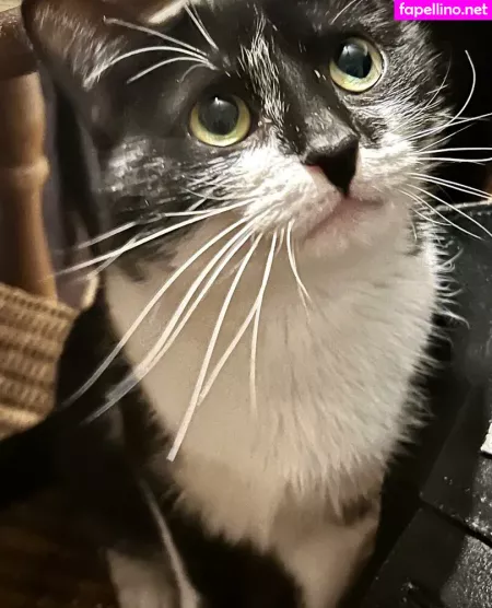 Aubree OnlyFans Thumbnail #bQs8T6a7Ya