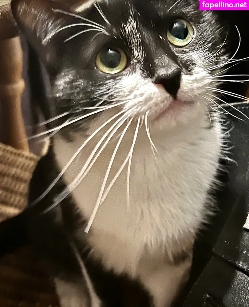 TheBustyHoney Nude Leaked OnlyFans Photo #bQs8T6a7Ya