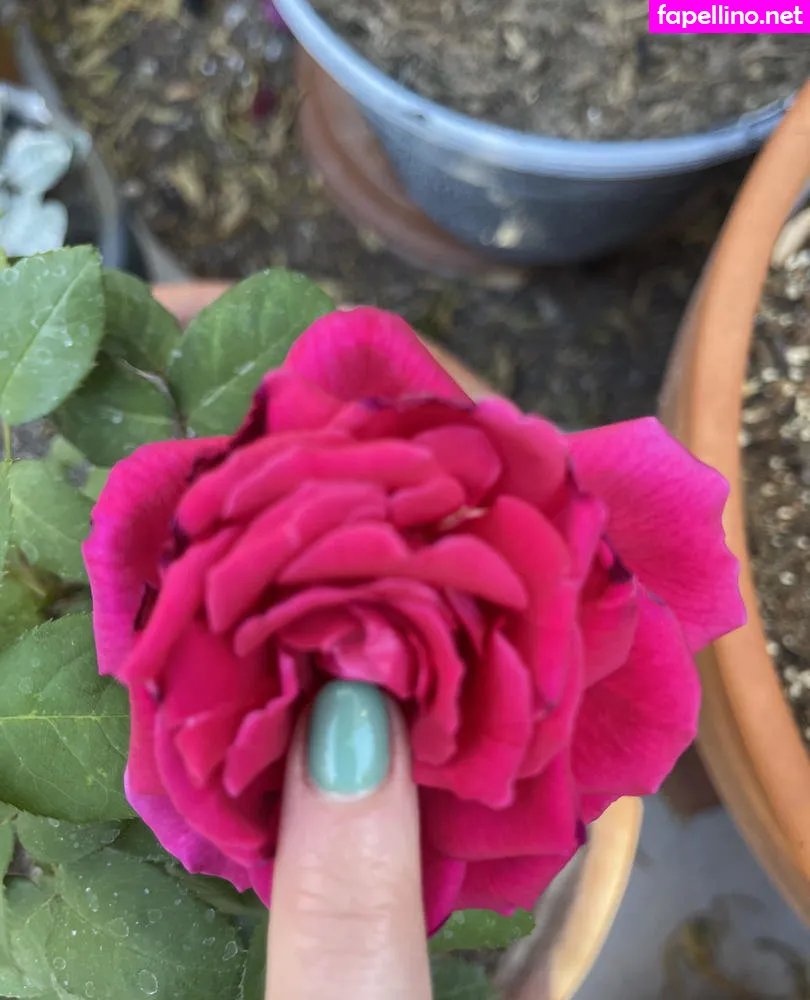 Aubrilee, Aubriluv, alwaysaubri Nude Leaked OnlyFans Photo #bBQgy7rlSd