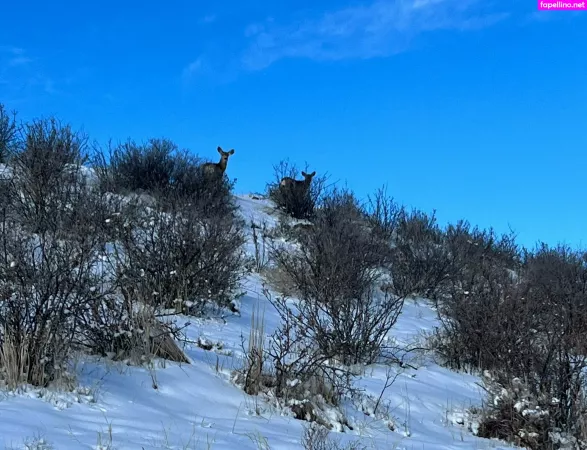 Audreybelletv OnlyFans Thumbnail #VdZqgCCvME