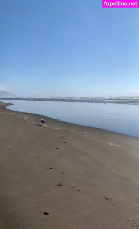 Auroraarose Xo OnlyFans Thumbnail #o9cVS36dYX