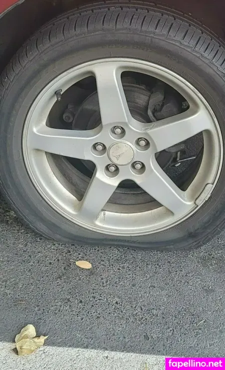 Aurorakitten14 OnlyFans Thumbnail #AFbyDf7nr2