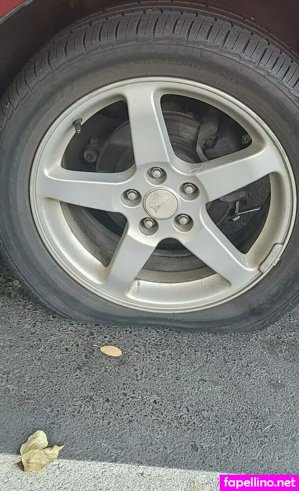 Aurorakitten14 Nude Leaked OnlyFans Photo #AFbyDf7nr2