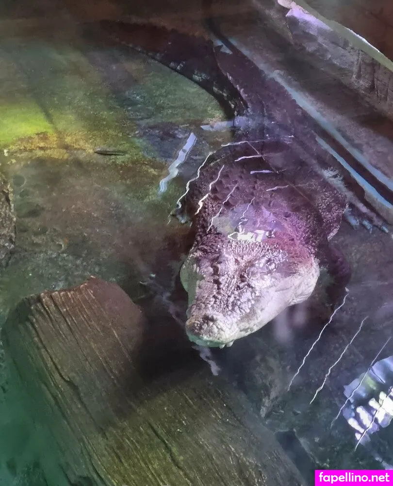 aussieplaydoh, orpheustheaussiedude Nude Leaked OnlyFans Photo #h4wCPezgXe