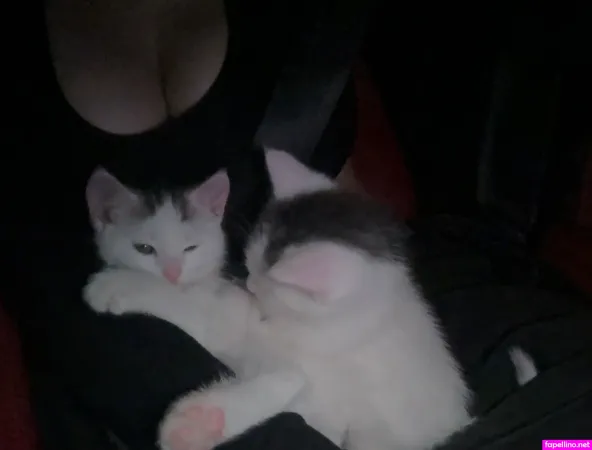 Avgella Main Profile Photo