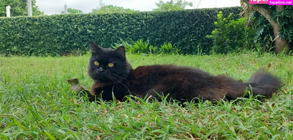 Avilinax OnlyFans Thumbnail #MEx1sHB9ym