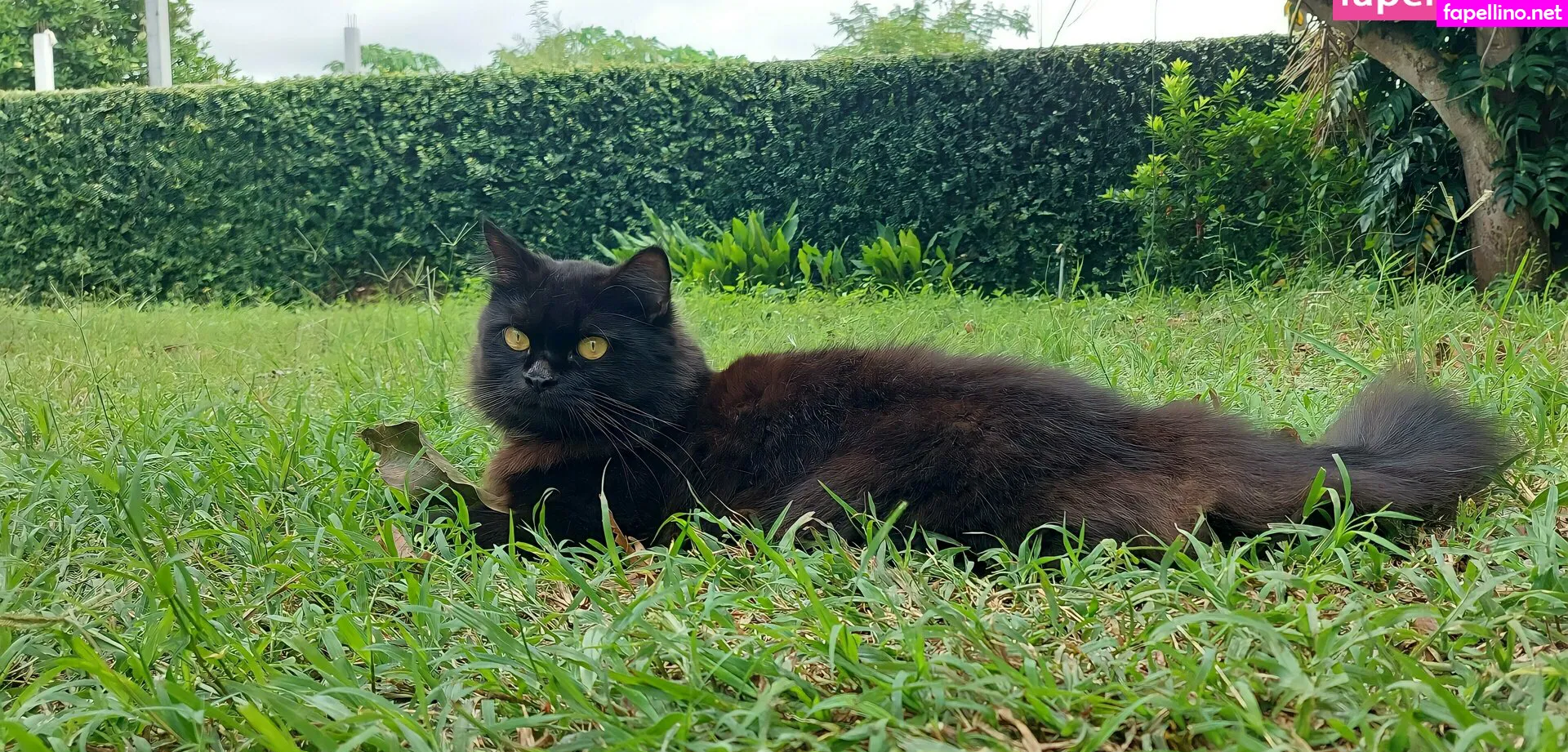 avilinax Nude Leaked OnlyFans Photo #MEx1sHB9ym