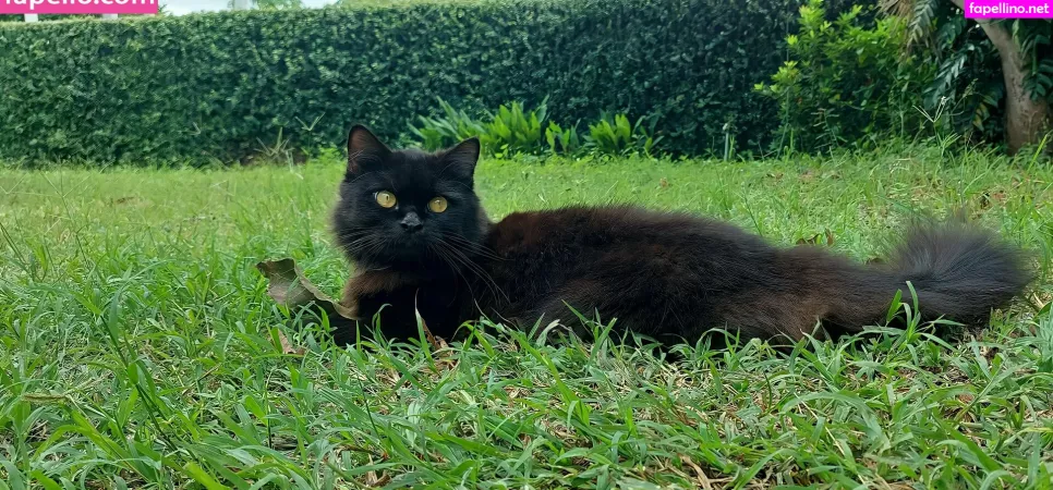 Avilinax OnlyFans Thumbnail #jbuAgQ3rI8