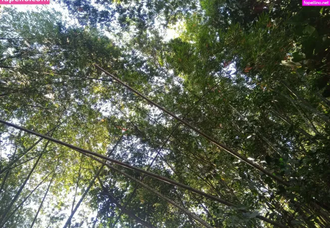 Avliequeena OnlyFans Thumbnail #5xF4CC9Ntc