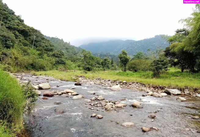 Avliequeena OnlyFans Thumbnail #FrIUo6jmuI