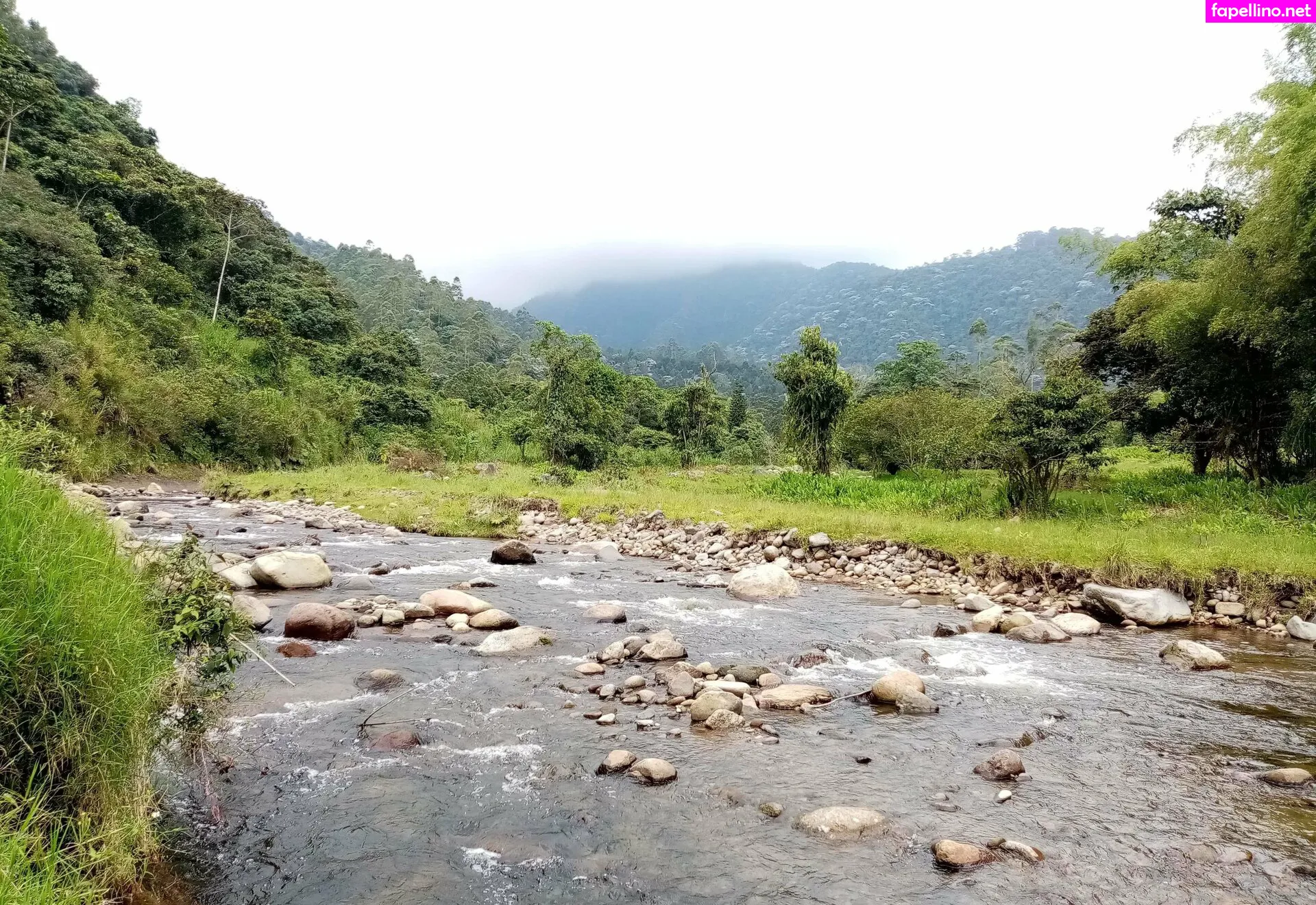 alequeena, avliequeena Nude Leaked OnlyFans Photo #FrIUo6jmuI