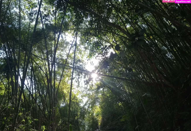 Avliequeena OnlyFans Thumbnail #GFwiNH7jpH