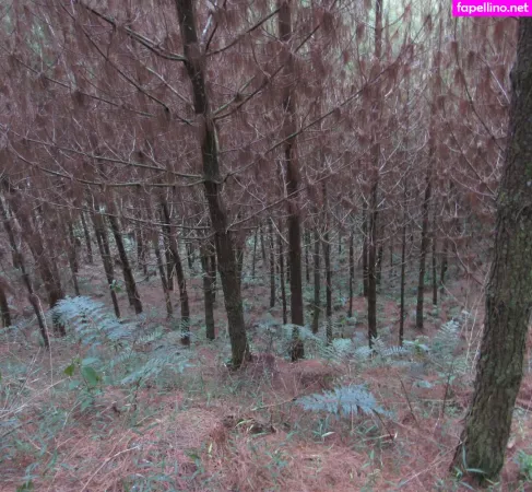 Avliequeena OnlyFans Thumbnail #KVslNIn7Jc