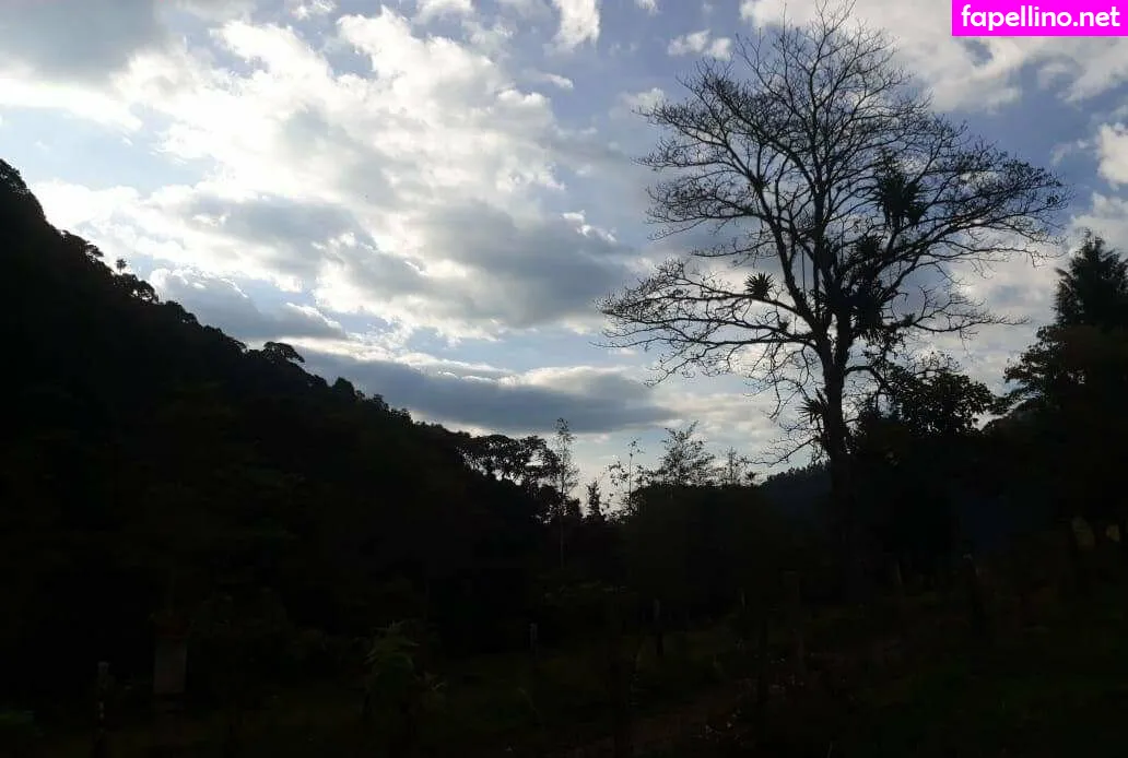 alequeena, avliequeena Nude Leaked OnlyFans Photo #cPCetGC1fe