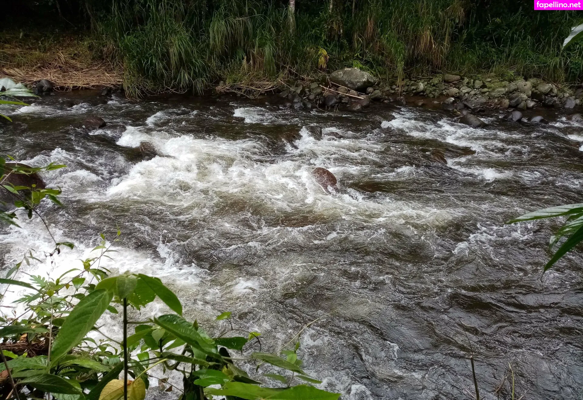 alequeena, avliequeena Nude Leaked OnlyFans Photo #fyeQhWX4EI