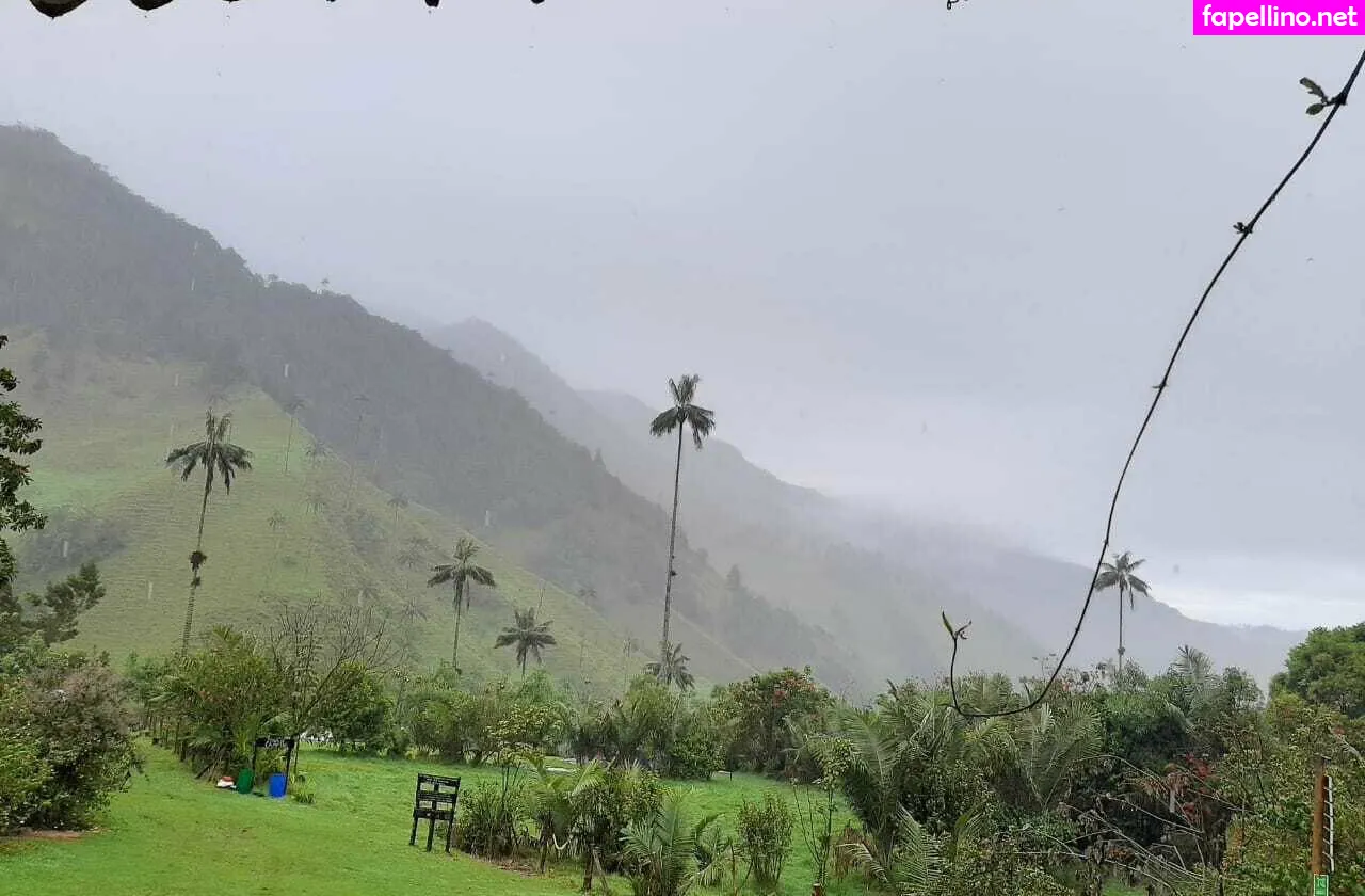 alequeena, avliequeena Nude Leaked OnlyFans Photo #xHoGvFNXgR