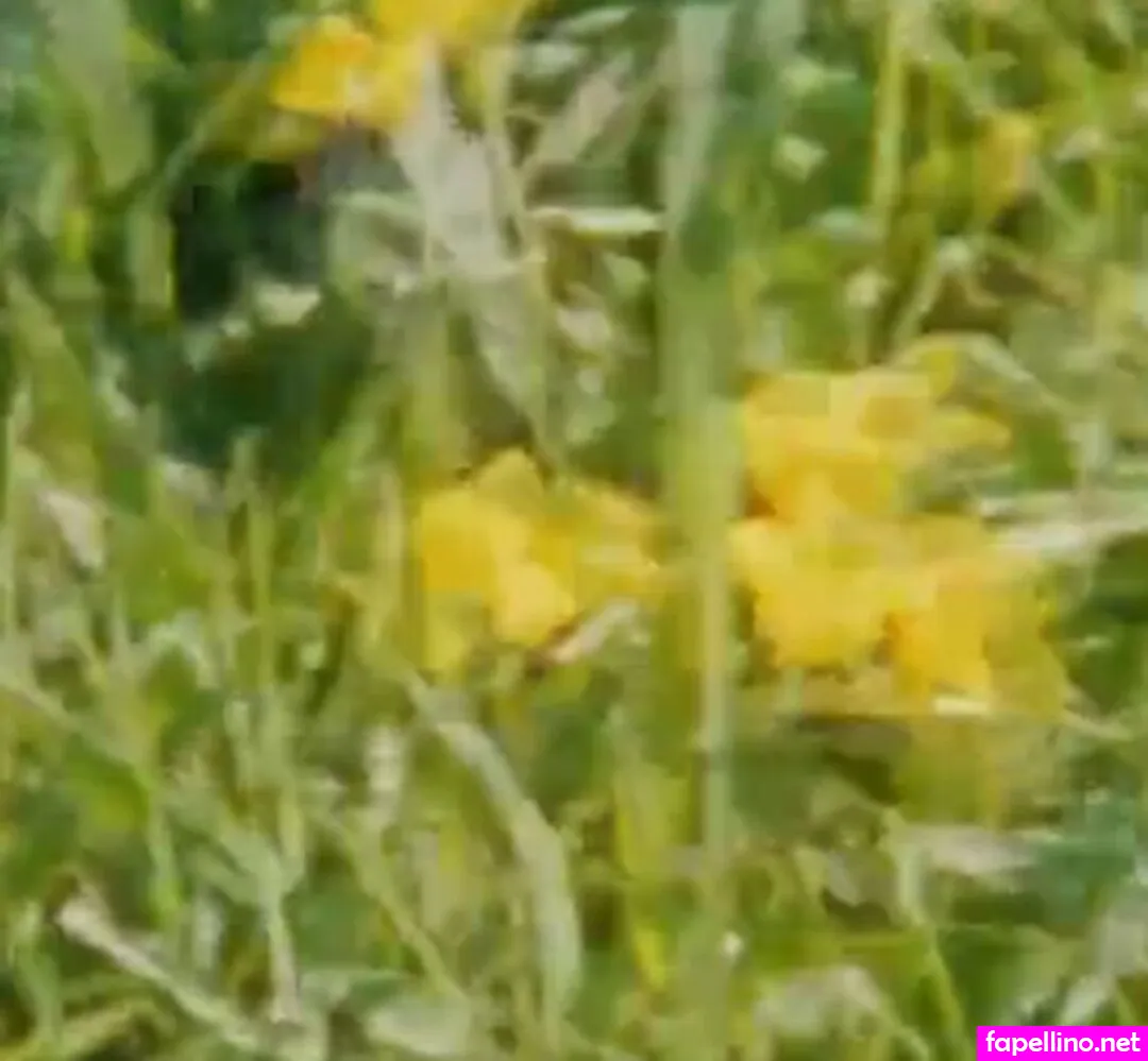 avrilpilot.ok, avrilpilot7 Nude Leaked OnlyFans Photo #5pglzZaVhM