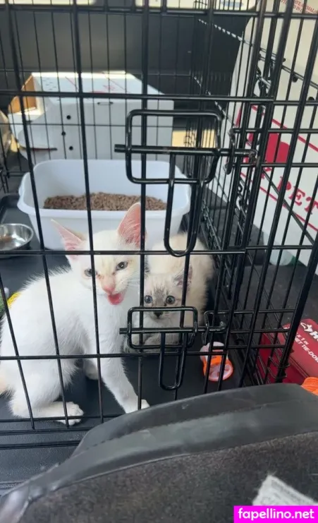 Awadacad0 3 OnlyFans Thumbnail #eN8MFgy7wv