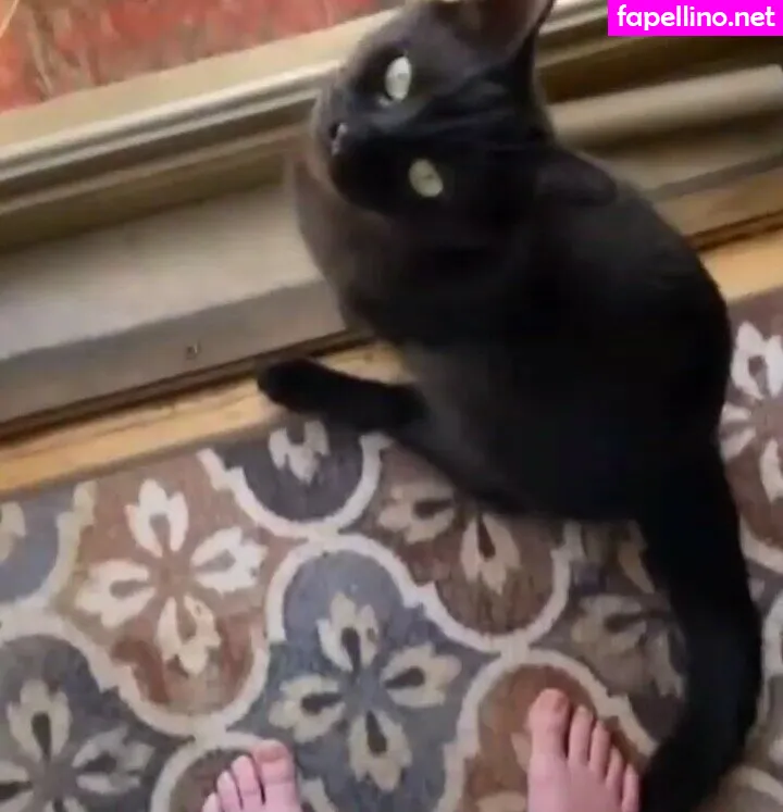 Awakeproductions Nude Leaked OnlyFans Photo #tj3skaJUE9