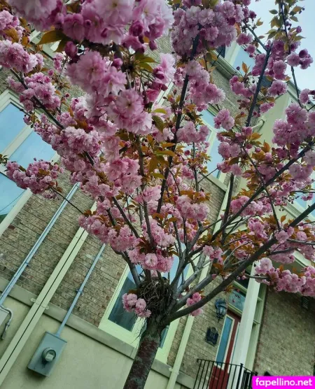 Ayavonlee OnlyFans Thumbnail #FuZQYCPhmv