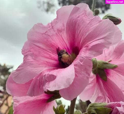 Azucarysal 1 OnlyFans Thumbnail #aM8wSIfRTP