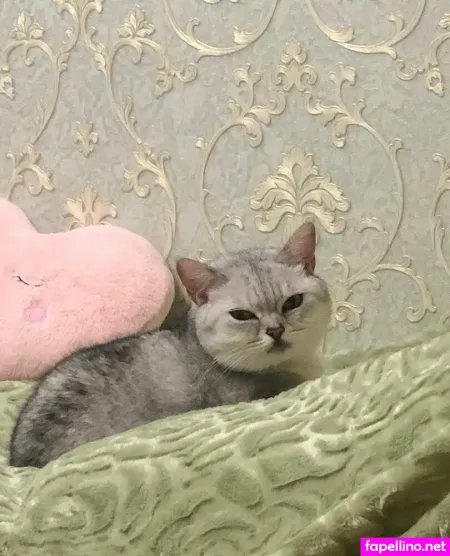 Azumilovv OnlyFans Thumbnail #5xG3tRUJdS