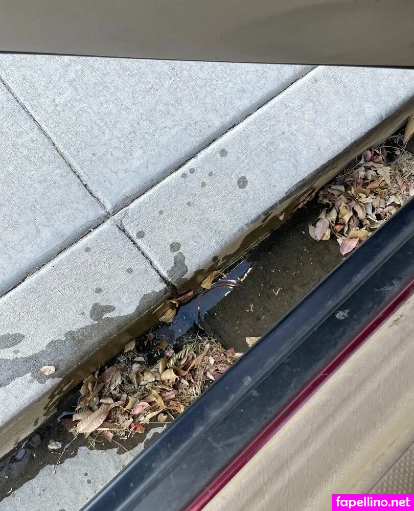 b33gi, b33ji Nude Leaked OnlyFans Photo #ej4l7g5SAq