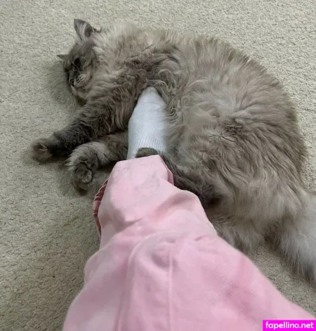 B3brina OnlyFans Thumbnail #XeewFzY9WA