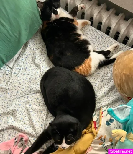 Baby Han OnlyFans Thumbnail #NwJAxbulLf