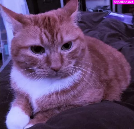 Babybooh420 OnlyFans Thumbnail #ewOyGiSC20