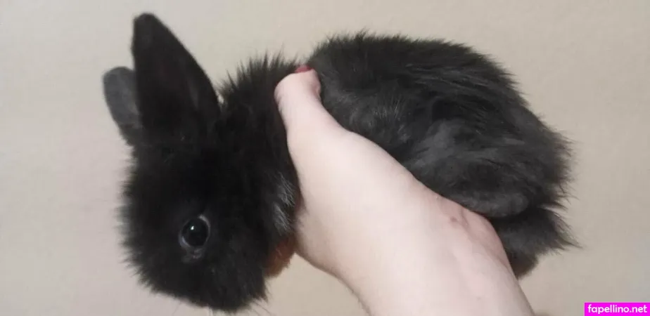 Babybunny 18 OnlyFans Thumbnail #GyM67WrS8B