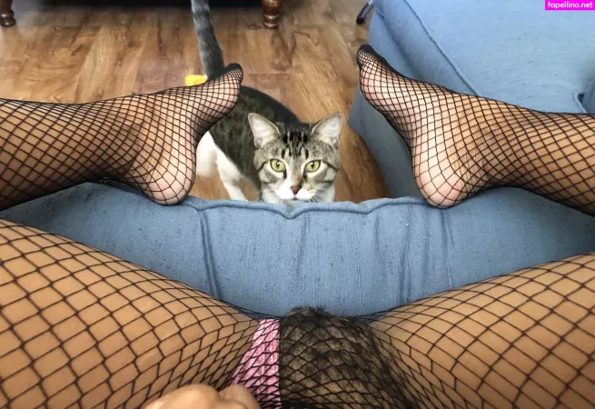 Babybushwhacker OnlyFans Thumbnail #29YVcYyY7f