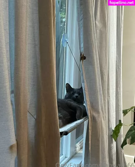 Babyjas666 OnlyFans Thumbnail #vvdjQcIhfa