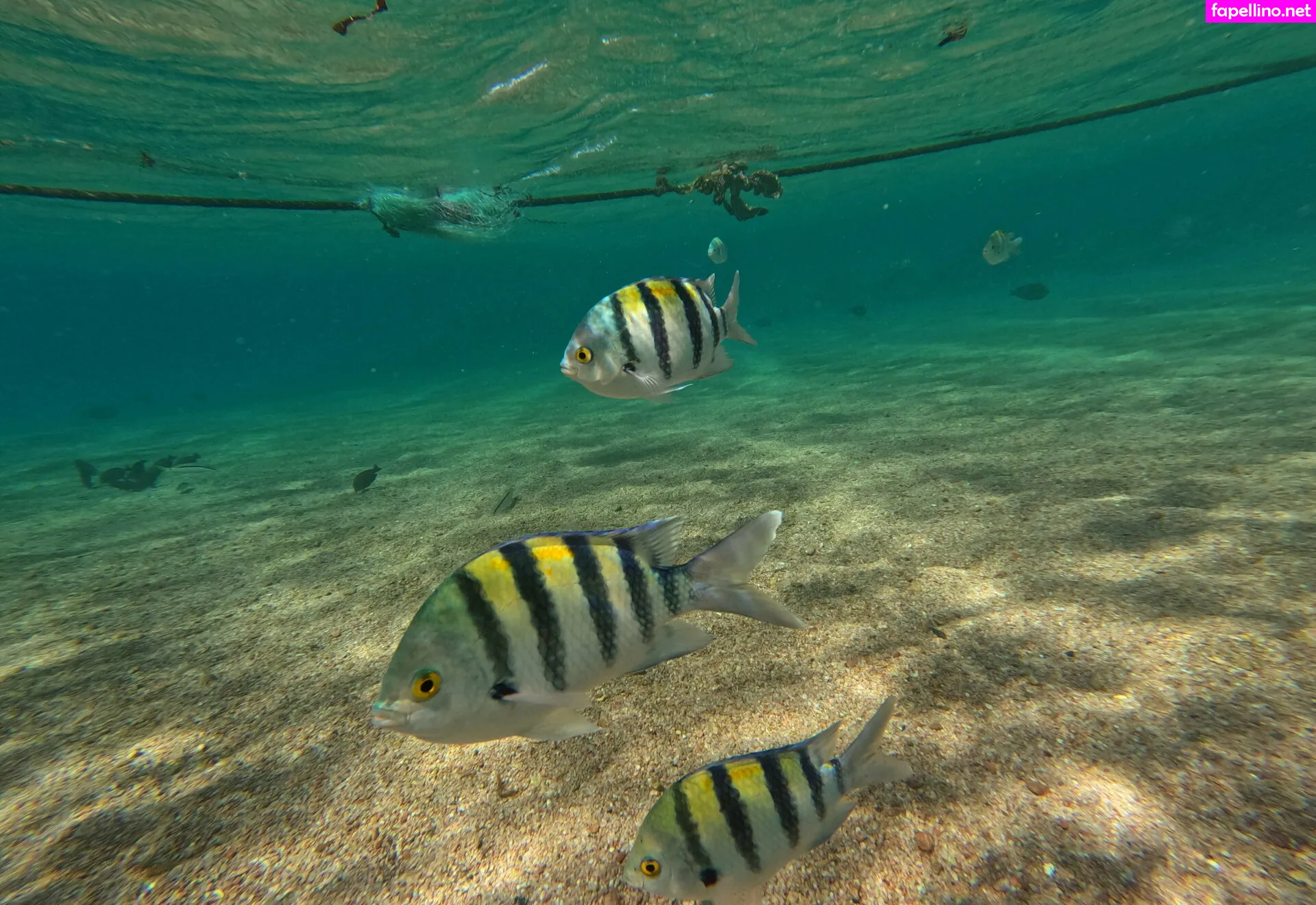 babylonian, babylonias Nude Leaked OnlyFans Photo #JT4KV2smpv