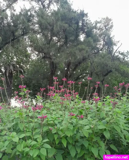 Babyluna123 OnlyFans Thumbnail #Ip5u1lOF5H