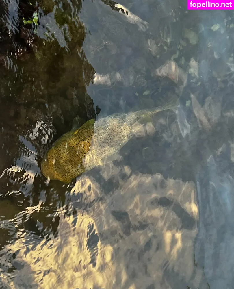 babyski-mask, ski.mask.bby Nude Leaked OnlyFans Photo #nhDNwSu7Nf