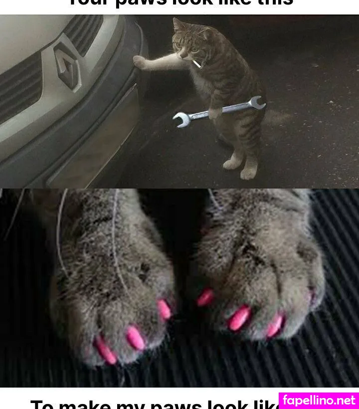 babyboytheking83, babytheking Nude Leaked OnlyFans Photo #BBbah9cpnZ