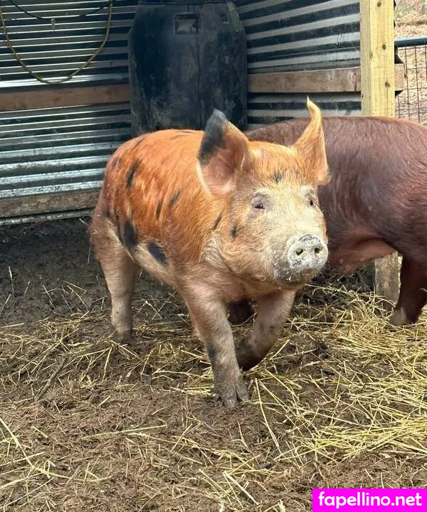 https: Nude Leaked OnlyFans Photo #VVLPGwSSpe