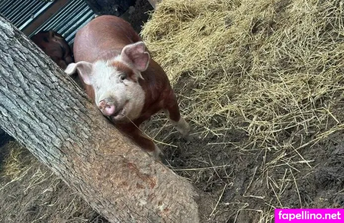 Backwoodsemm OnlyFans Thumbnail #cmCpyYbBEw