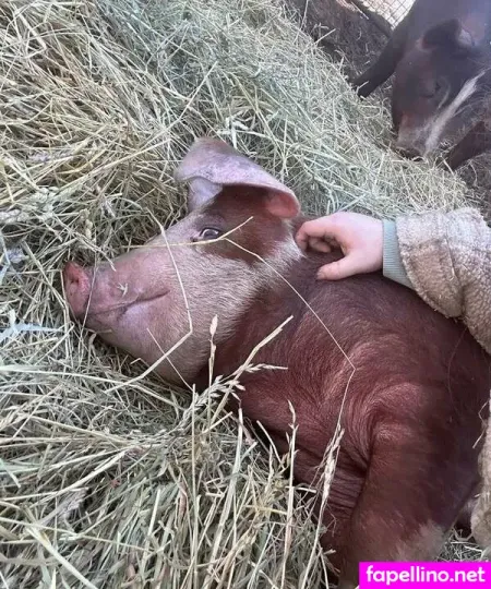 Backwoodsemm Main Profile Photo