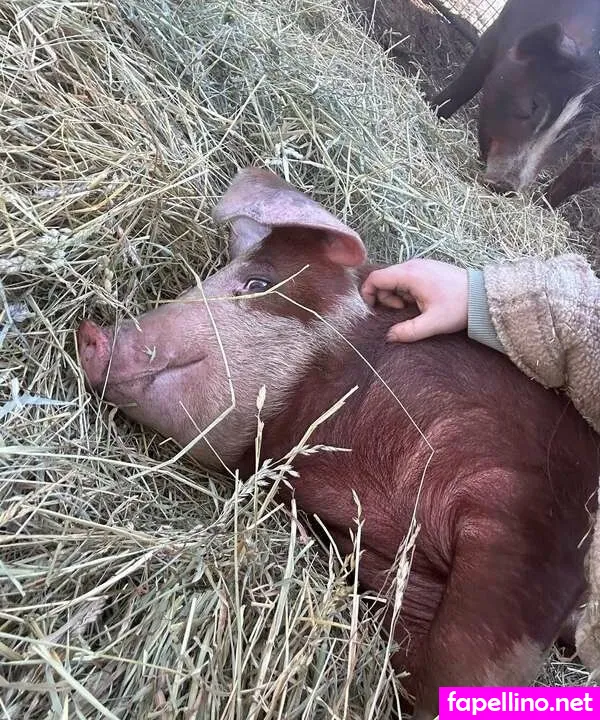 https: Nude Leaked OnlyFans Photo #rgHki2n7cz