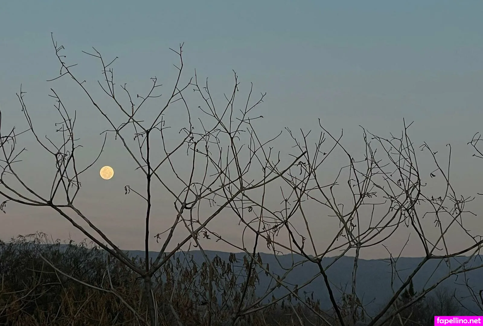 badandpretty, jaycemusic___ Nude Leaked OnlyFans Photo #CZmLFFKEIr